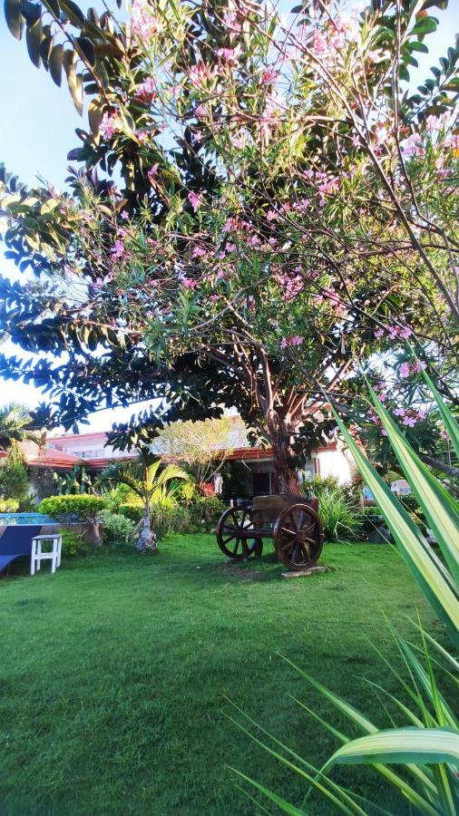 Seaview Beach Resort Sibulan Eksteriør billede